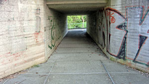 fuhse
