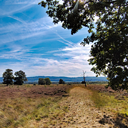 Großes Torfmoor rahden