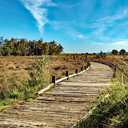 Auf dem Holzweg rahden