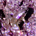 Frosch im Matsch rahden