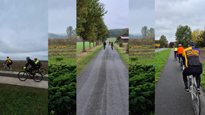 Harpstedt-Runde:  2025